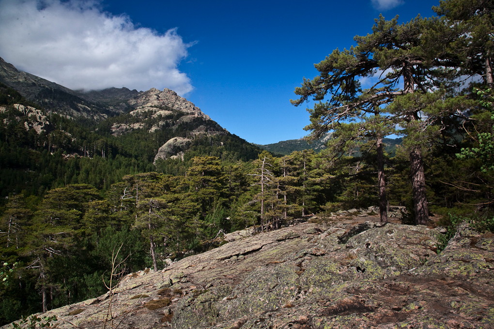 Gorges de la Spelunca